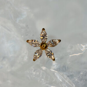 Daisy Gold