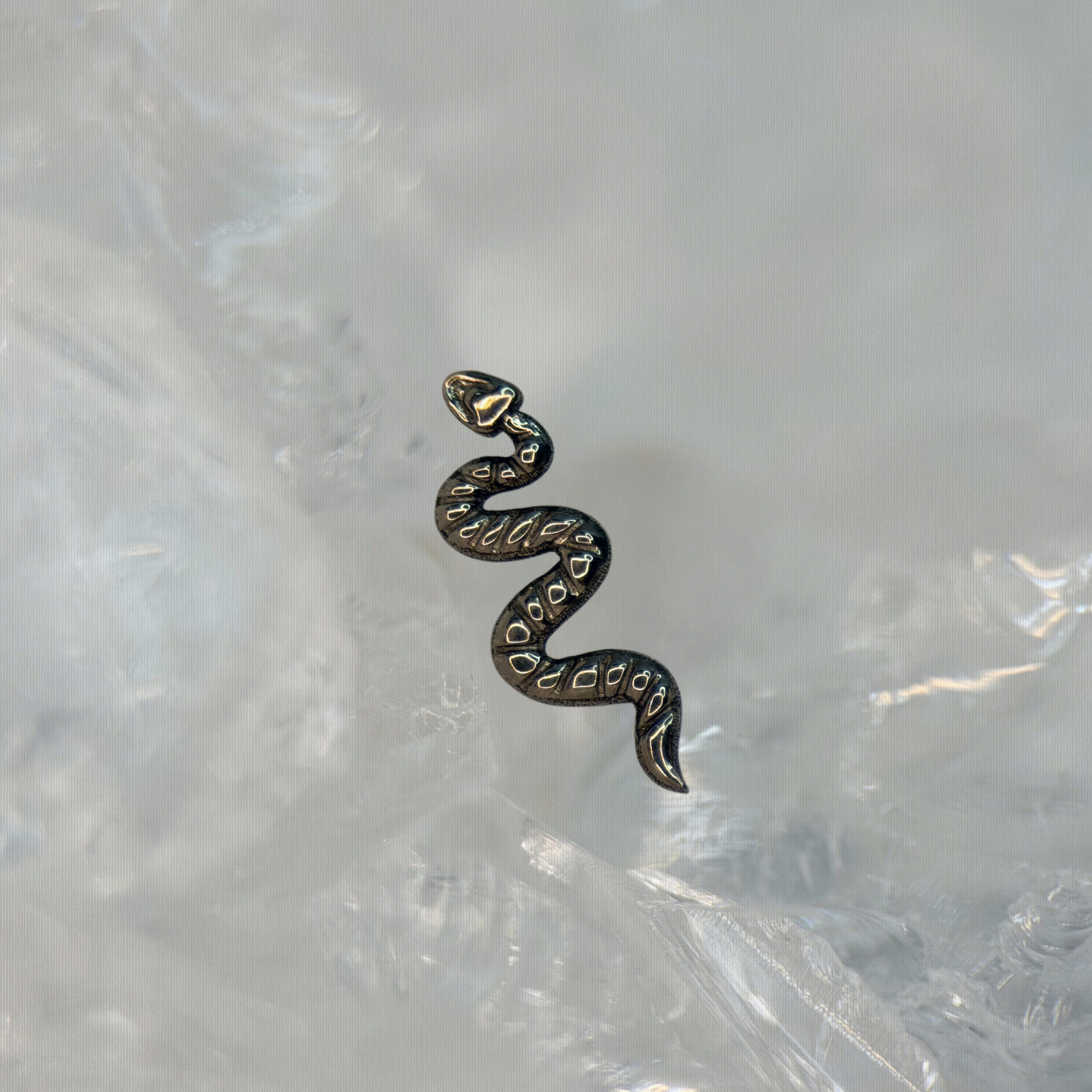 Snake