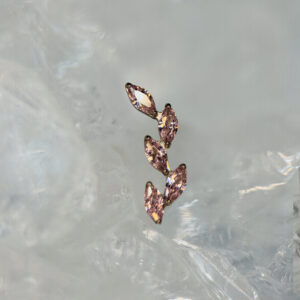Twig Pink