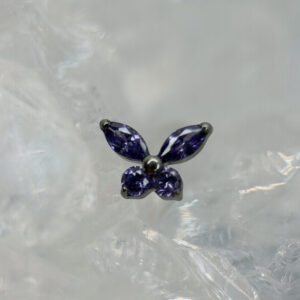 Motyl Fioletowy
