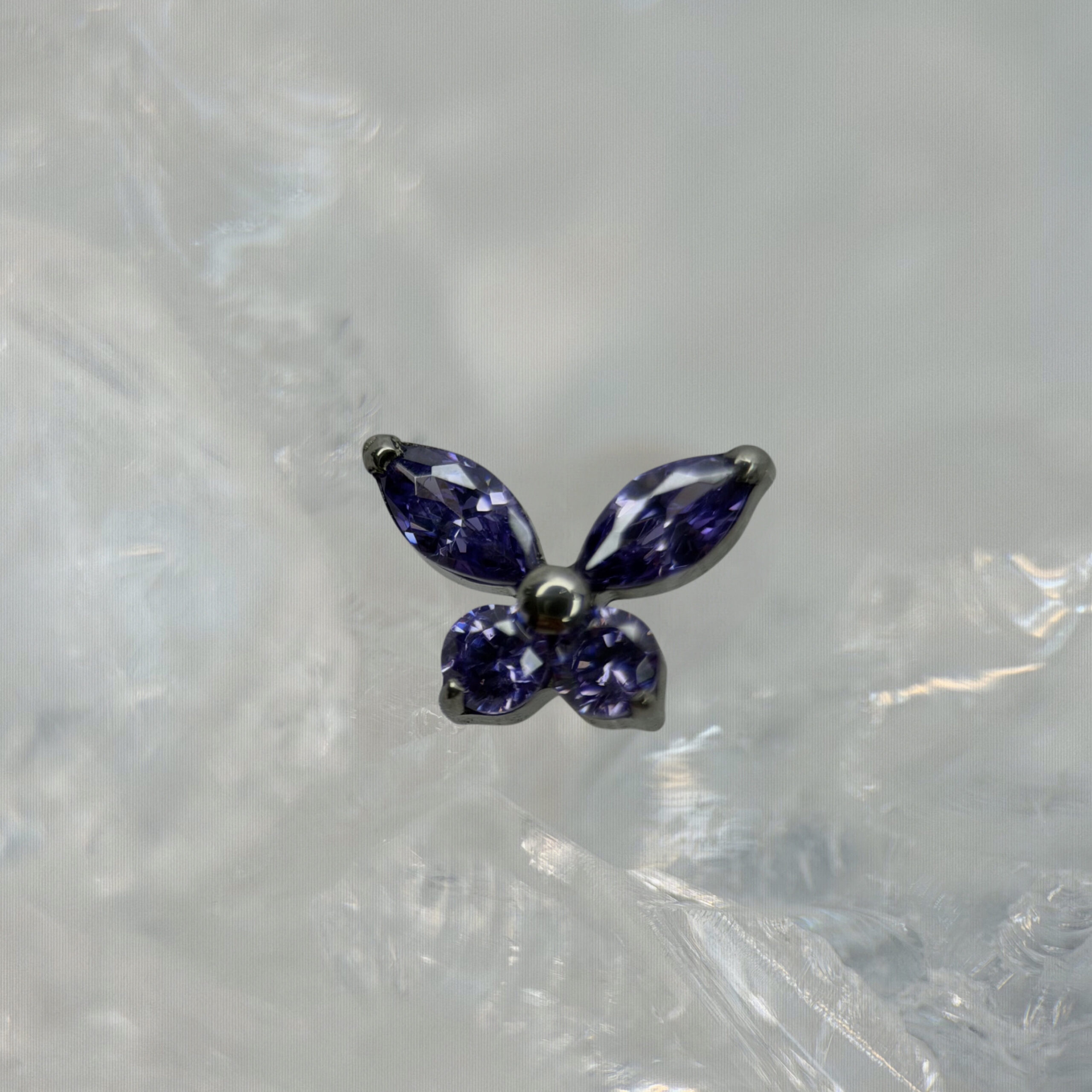 Motyl Fioletowy